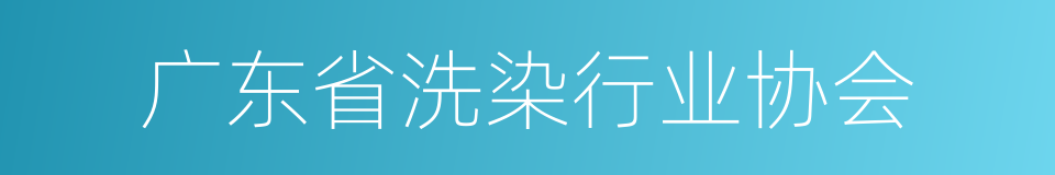 广东省洗染行业协会的同义词