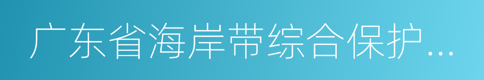 广东省海岸带综合保护与利用总体规划的同义词