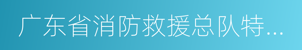 广东省消防救援总队特勤大队的同义词