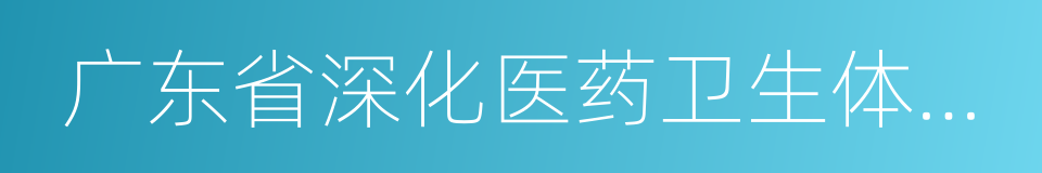 广东省深化医药卫生体制综合改革实施方案的同义词