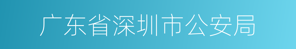 广东省深圳市公安局的同义词