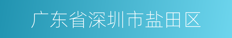 广东省深圳市盐田区的同义词