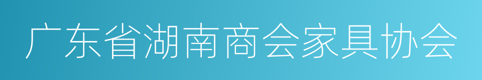 广东省湖南商会家具协会的同义词