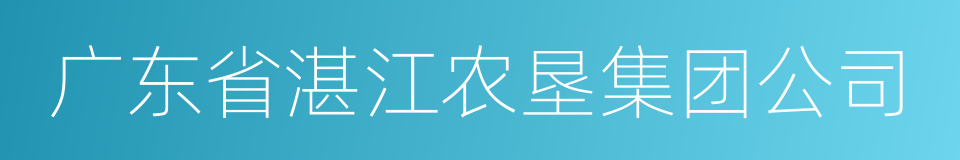 广东省湛江农垦集团公司的同义词