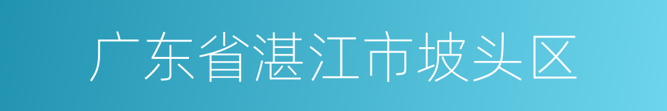 广东省湛江市坡头区的同义词