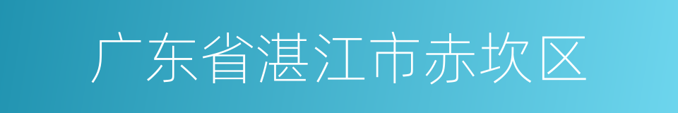 广东省湛江市赤坎区的同义词