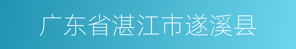 广东省湛江市遂溪县的同义词