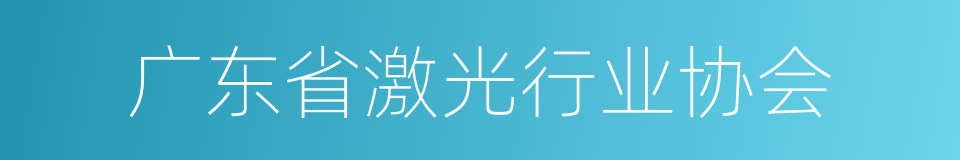 广东省激光行业协会的同义词