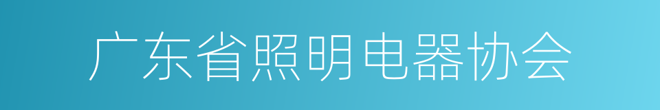 广东省照明电器协会的同义词