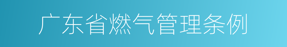 广东省燃气管理条例的同义词