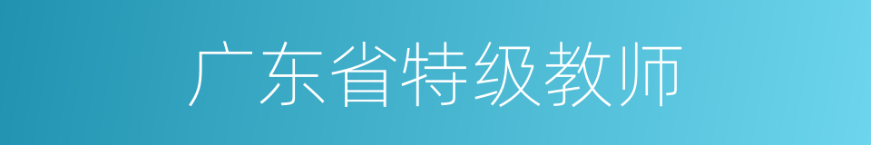 广东省特级教师的同义词