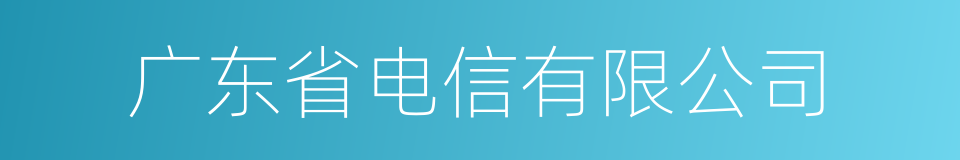 广东省电信有限公司的同义词