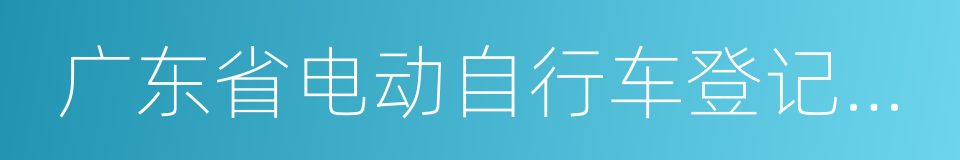 广东省电动自行车登记试点管理规定的同义词