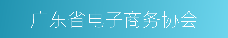 广东省电子商务协会的同义词