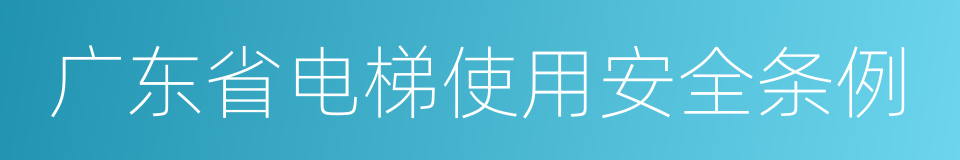 广东省电梯使用安全条例的同义词