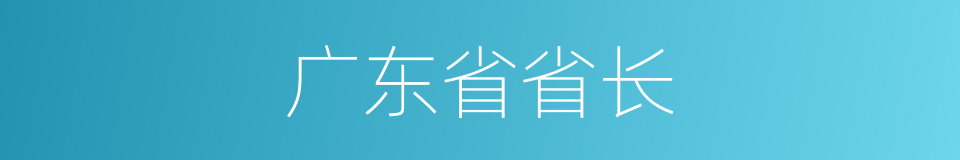 广东省省长的同义词