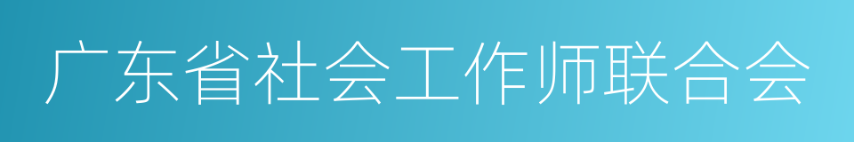 广东省社会工作师联合会的同义词