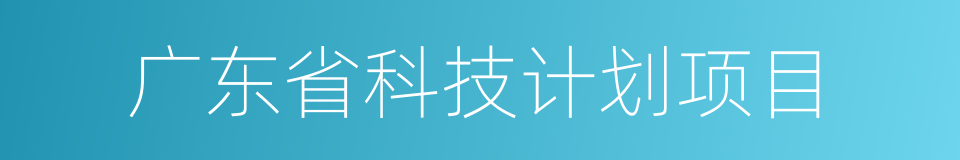 广东省科技计划项目的同义词