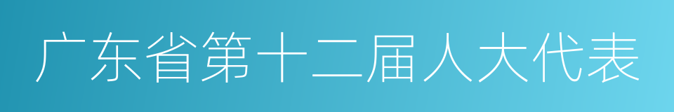 广东省第十二届人大代表的同义词