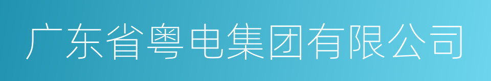 广东省粤电集团有限公司的同义词