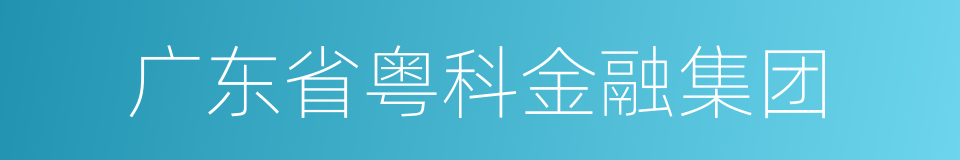 广东省粤科金融集团的同义词