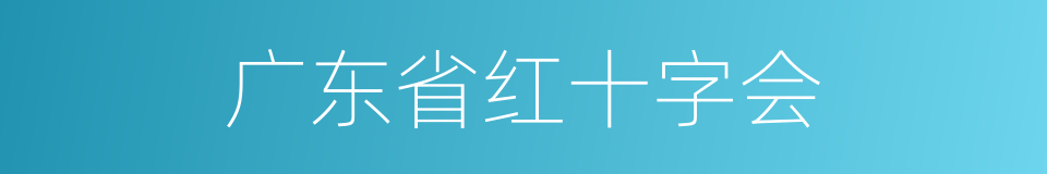 广东省红十字会的同义词