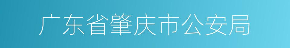 广东省肇庆市公安局的同义词