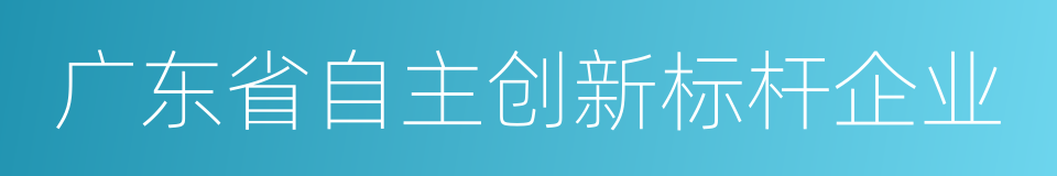 广东省自主创新标杆企业的同义词