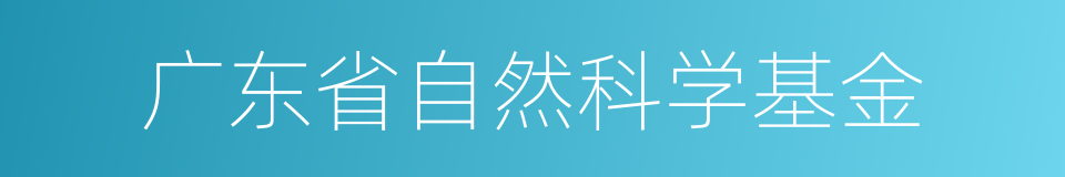 广东省自然科学基金的同义词