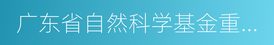 广东省自然科学基金重点项目的同义词