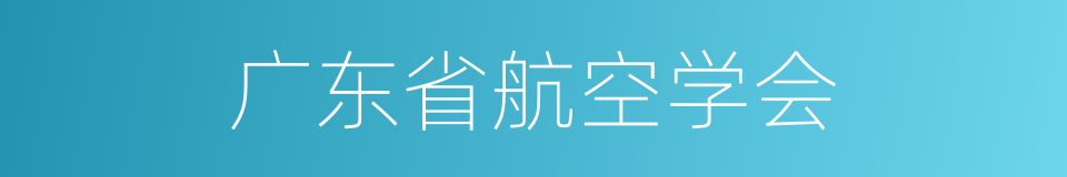 广东省航空学会的同义词