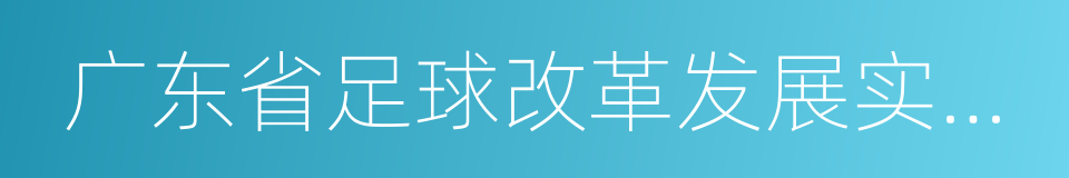 广东省足球改革发展实施意见的同义词