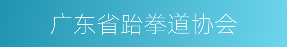 广东省跆拳道协会的同义词