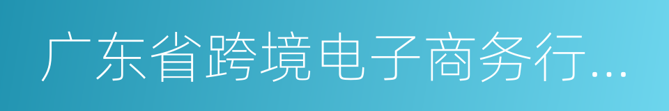 广东省跨境电子商务行业协会的同义词