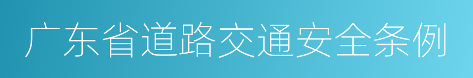 广东省道路交通安全条例的同义词