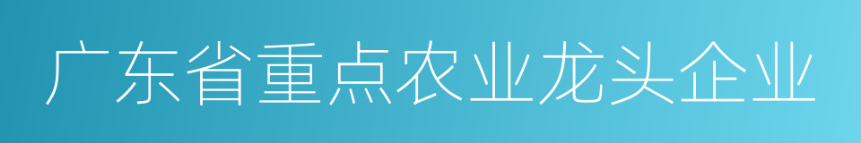 广东省重点农业龙头企业的同义词