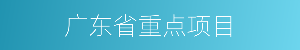 广东省重点项目的同义词