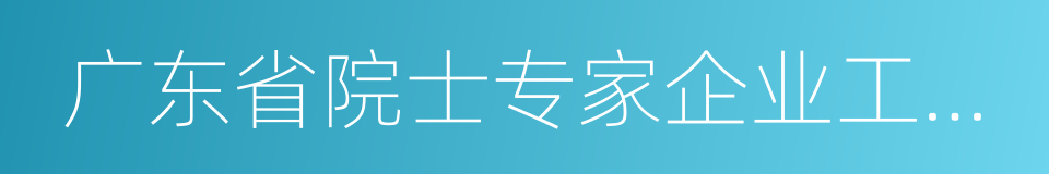 广东省院士专家企业工作站的同义词