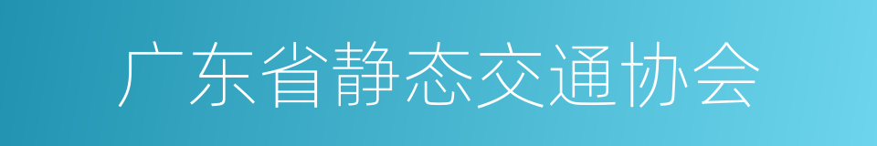 广东省静态交通协会的同义词