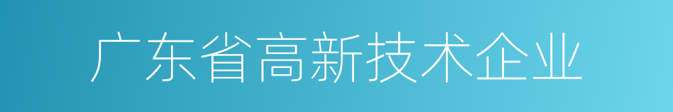 广东省高新技术企业的同义词