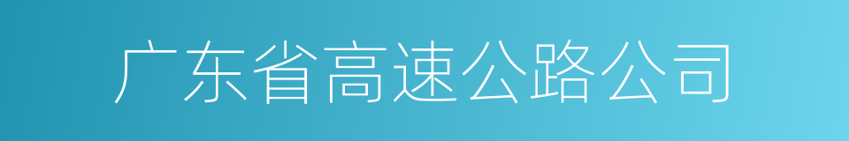 广东省高速公路公司的同义词