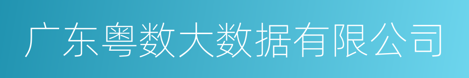 广东粤数大数据有限公司的同义词