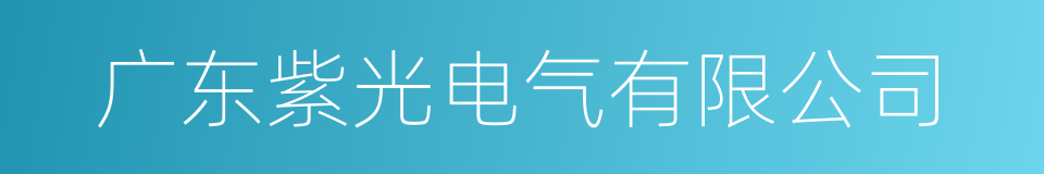 广东紫光电气有限公司的同义词