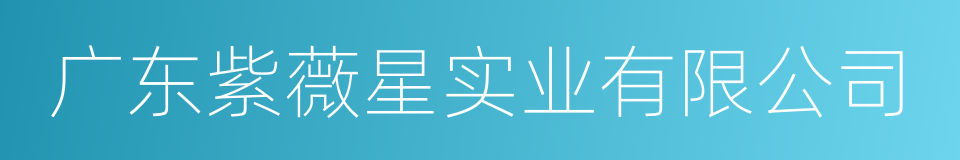 广东紫薇星实业有限公司的同义词