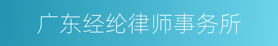 广东经纶律师事务所的同义词