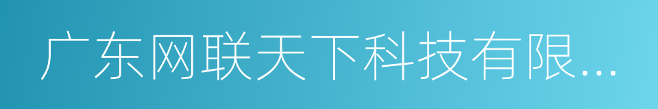 广东网联天下科技有限公司的同义词