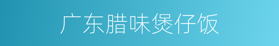 广东腊味煲仔饭的同义词