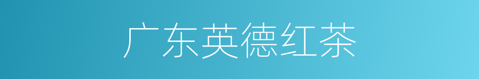 广东英德红茶的同义词