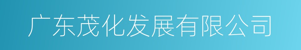 广东茂化发展有限公司的同义词