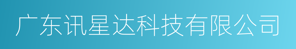广东讯星达科技有限公司的同义词